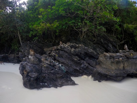 DCIM100GOPROG0150971.